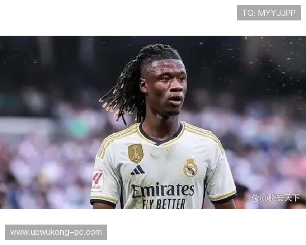 卡马文加与楚阿梅尼：后腰角色差异及法国队体系适配性分析