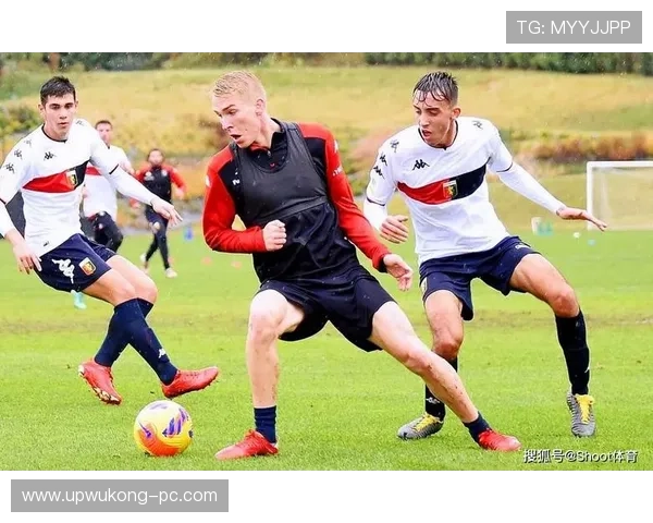 弗拉霍维奇效率波动，尤文图斯进攻稳定性面临考验